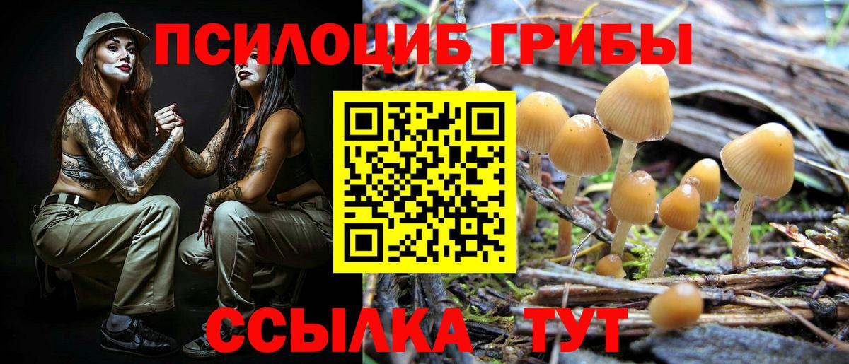 Псилоцибиновые грибы Magic Shrooms Карачаевск