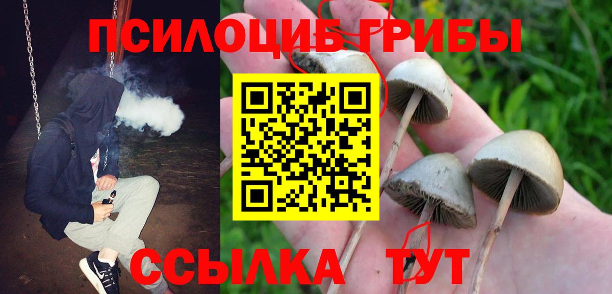 Псилоцибиновые грибы MAGIC MUSHROOMS  Вход с VPN  Карачаевск  Псилоцибиновые грибы Cubensis 