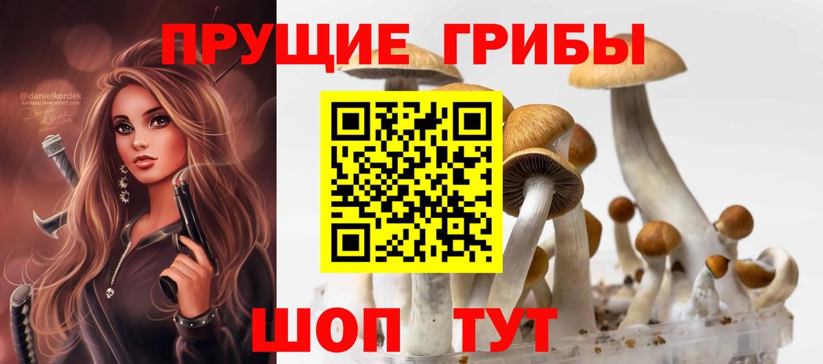 Галлюциногенные грибы Карачаевск